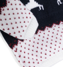 Load image into Gallery viewer, PAZ RODRIGUEZ Boys Blue 3 Piece Shorts Set