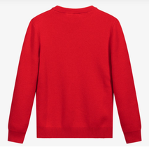 Load image into Gallery viewer, HUGO BOSS red wool  blend sweater
